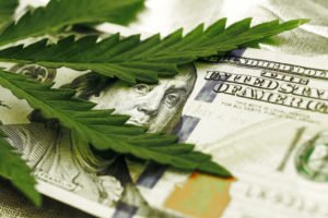 Cash and Cannabis From Fund Management